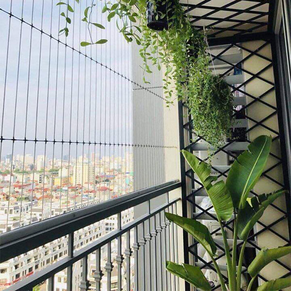  Lưới an toàn ban công Hà Nội